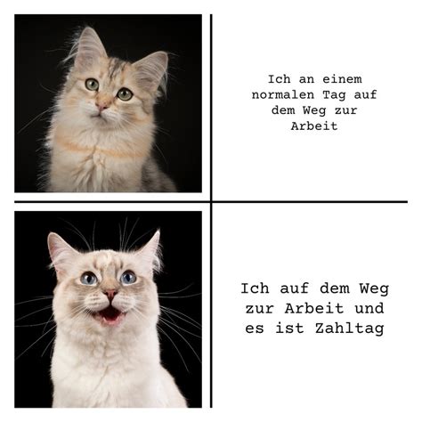 Vorlagen für Memes – kostenlos anpassbar